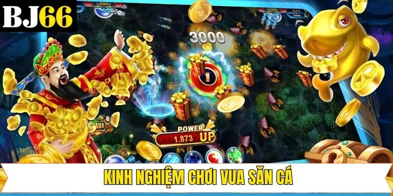 Những mẹo tham gia săn cá hiệu quả nên nắm